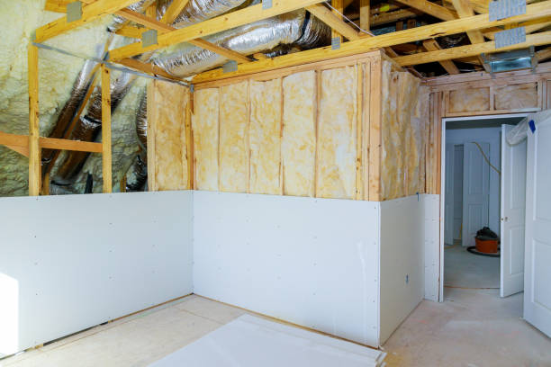 Best Cellulose Insulation in Jefferson, LA