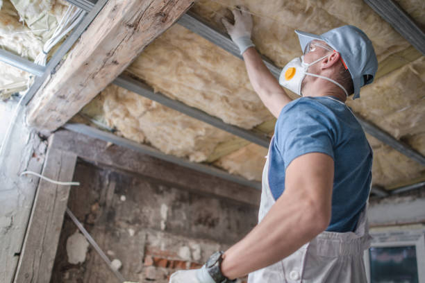 Best Insulation Maintenance and Repair in Jefferson, LA